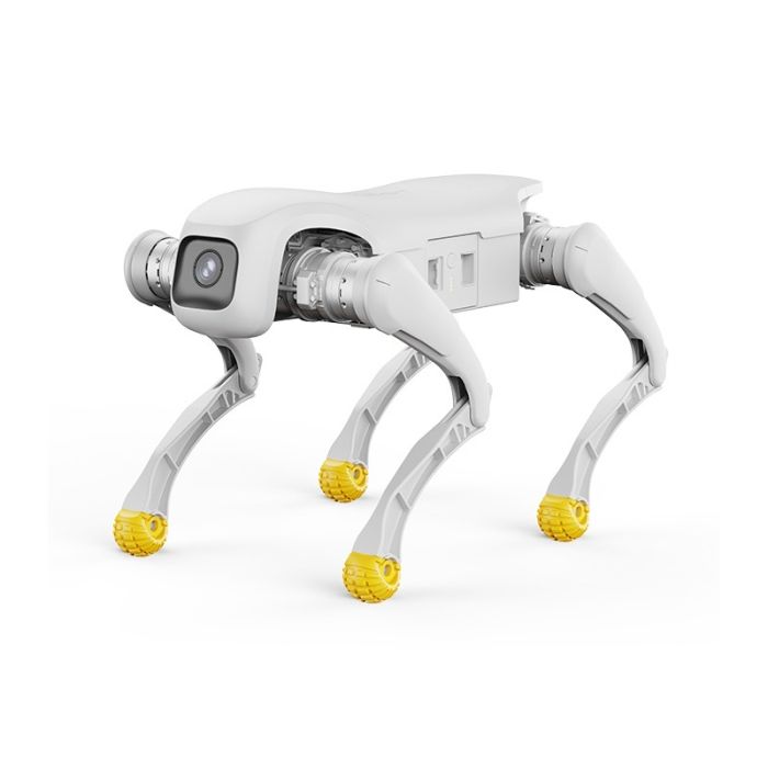 RC_AGIBOT D1